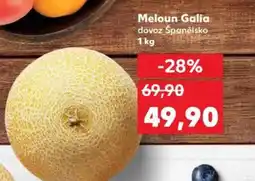 Kaufland Meloun Galia nabídka