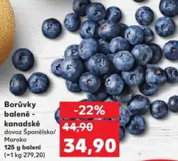 Borůvky balené - kanadské dovoz Španělsko/ Maroko