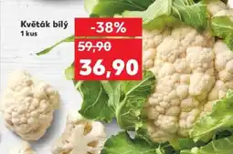 Kaufland Květák bílý nabídka