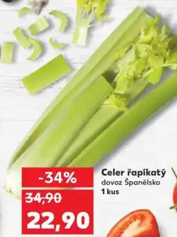 Kaufland Celer řapíkatý dovoz Španělsko nabídka