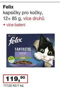 Ráj drogerie Felix kapsičky pro kočky, 12x 85 g, více druhů nabídka