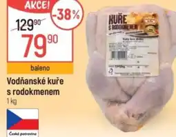 Globus Vodňanské kuře s rodokmenem nabídka