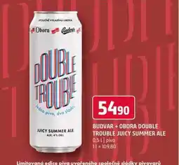 Terno Budvar obora doule trouble juicy summer ale 0,5l nabídka