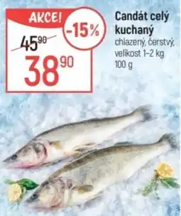 Globus Candát celý kuchaný nabídka