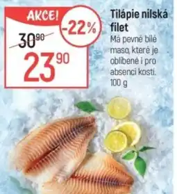 Globus Tilápie nilská filet nabídka