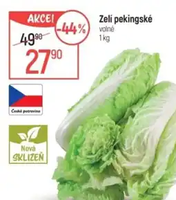 Globus Zelí pekingské volné nabídka