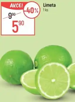 Globus Limeta nabídka