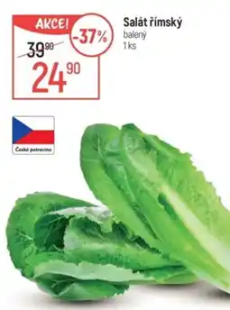 Globus Salát římský nabídka