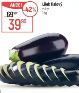 Globus Lilek fialový nabídka