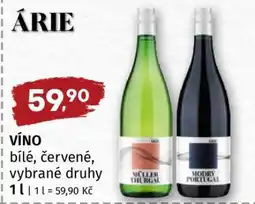 Terno ÁRIE nabídka