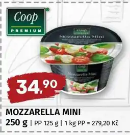 Terno Mozzarella mini nabídka