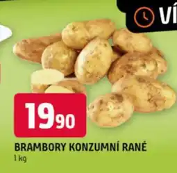 Terno Brambory konzumní rané nabídka