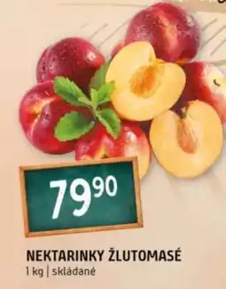 Terno Nektarinky žlutomasé nabídka