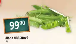Lusky hrachové