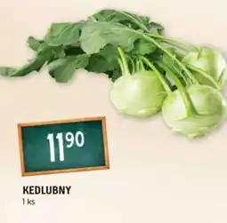 Terno Kedlubny nabídka