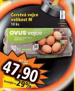 Norma Čerstvá vejce velikost M nabídka