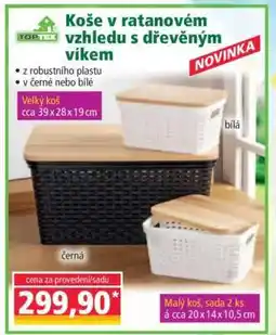 Norma Koše v ratanovém vzhledu s dřevěným víkem nabídka