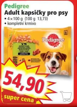 Norma Pedigree nabídka