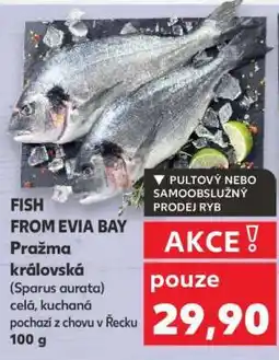 Kaufland Pražma královská nabídka