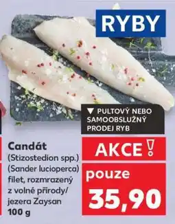 Kaufland Candát (Stizostedion spp.) filet nabídka