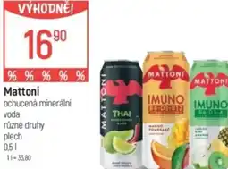 Globus Mattoni ochucená minerální voda nabídka