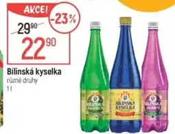 Globus Bílinská kyselka nabídka