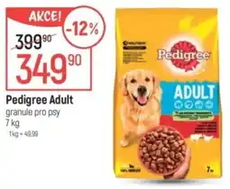 Globus Pedigree Adult granule pro psy nabídka