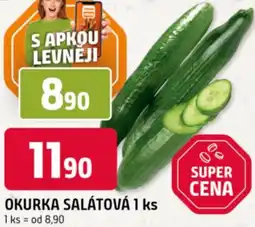 Trefa Okurka salátová nabídka