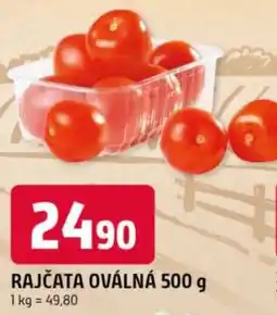 Trefa Rajčata oválná nabídka