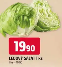 Trefa Ledový salát nabídka