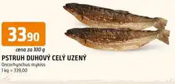 Trefa Pstruh duhový celý uzený nabídka