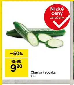 Tesco Okurka hadovka nabídka