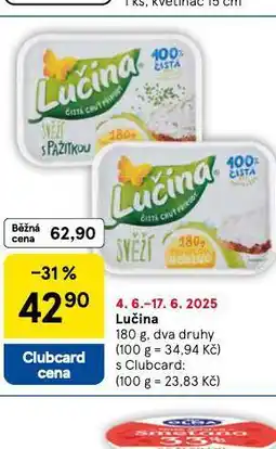 Tesco Lučina nabídka