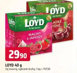 Trefa LOYD nabídka