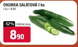 Trefa Okurka salátová nabídka
