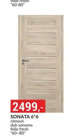 Baumax Dveře sonata 6*6 nabídka