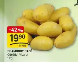 Flop BRAMBORY RANÉ Odrůda: Vivaldi 1 kg nabídka