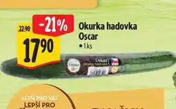 Albert Okurka hadovka Oscar 1 ks nabídka