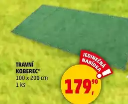 Penny Market Travní koberec nabídka