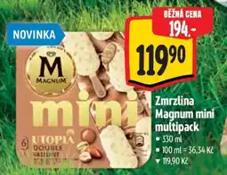 Albert Zmrzlina Magnum mini multipack nabídka