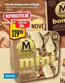 Albert Zmrzlina Magnum mini multipack nabídka