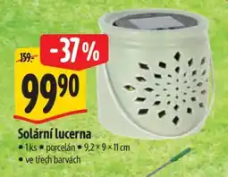 Albert Solární lucerna nabídka
