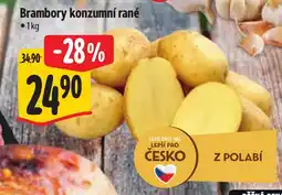 Albert Brambory konzumní rané nabídka