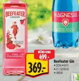 Albert Beefeater Gin nabídka