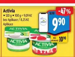 Albert Activia nabídka