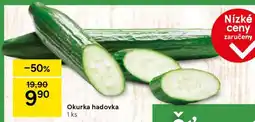 Tesco Okurka hadovka nabídka