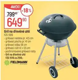 Globus Gril na dřevěné uhlí nabídka
