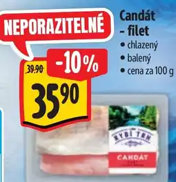 Albert Candát filet nabídka