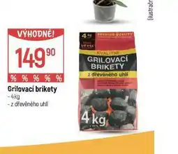 Globus Grilovací brikety nabídka