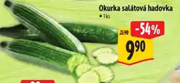 Albert Okurka salátová hadovka nabídka